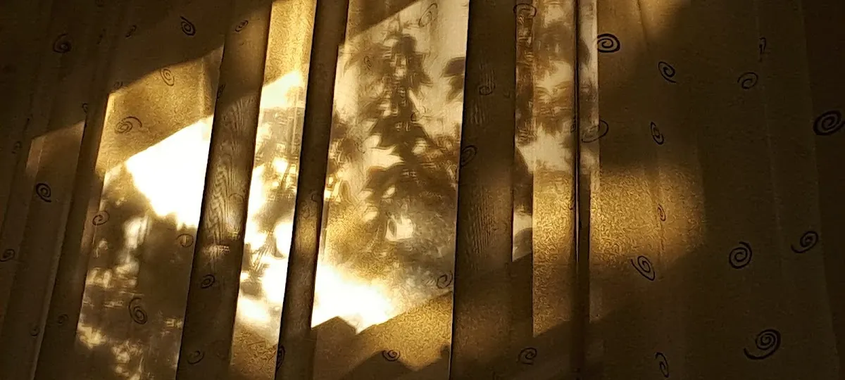 Illustration for Love and Relationships Today