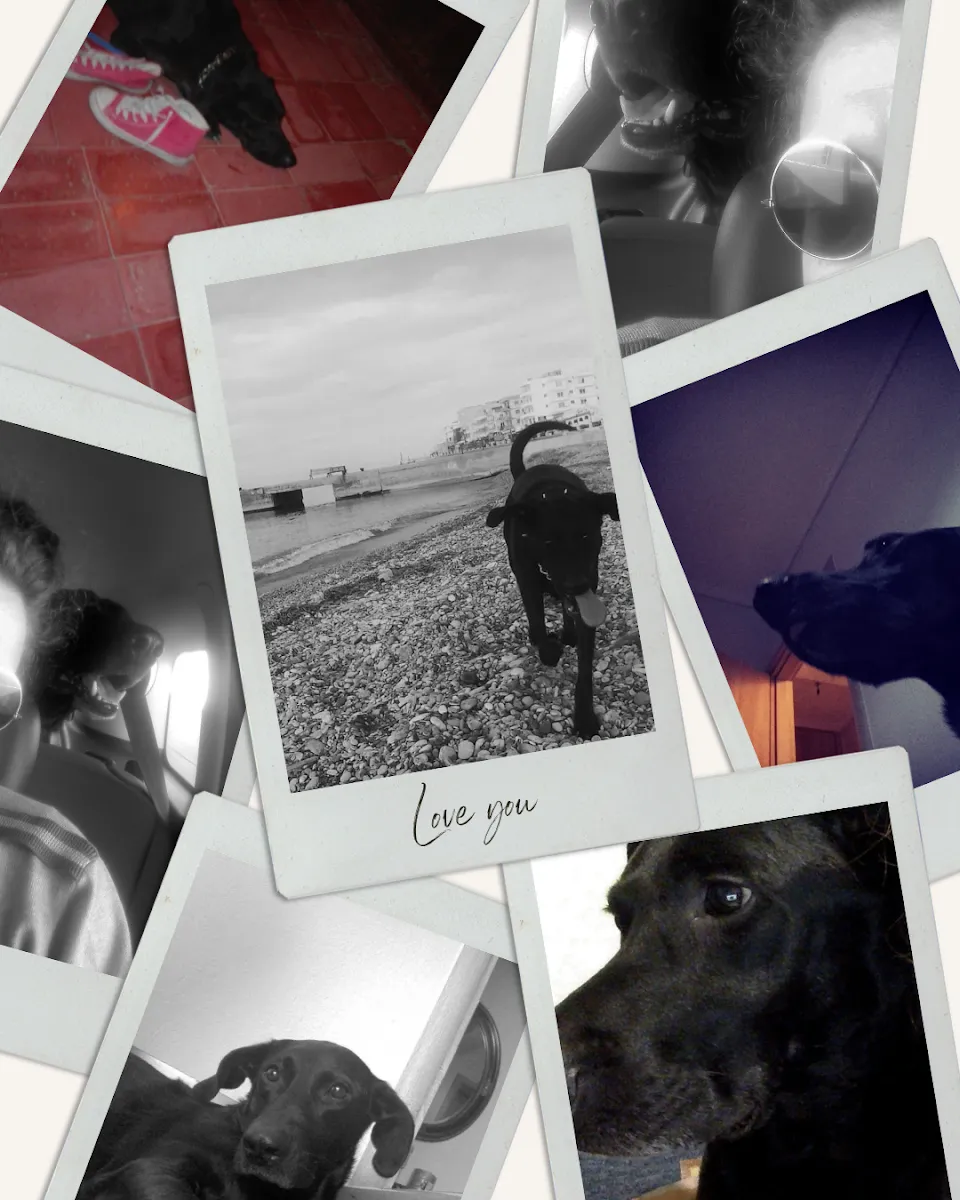 Illustration for Say Goodbye to Someone I Love