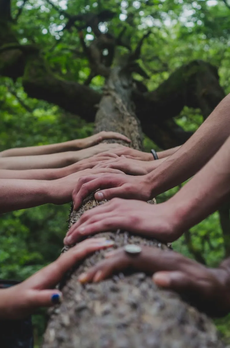 Many hands resting together on a tree branch in a lush green forest — a symbol of friendship and togetherness