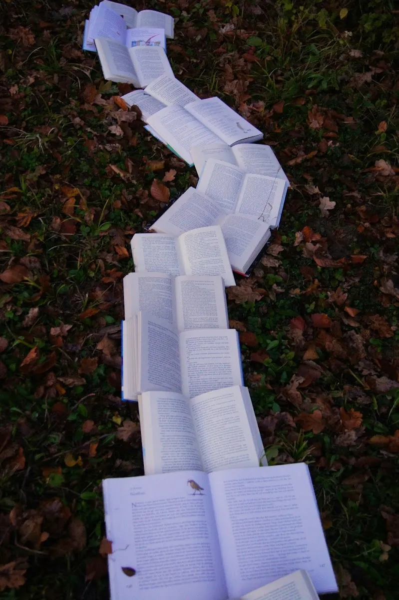 A winding trail of open books laid out on autumn leaves on the ground